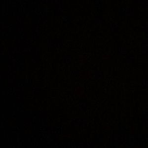 Meet your Posher, Jayla